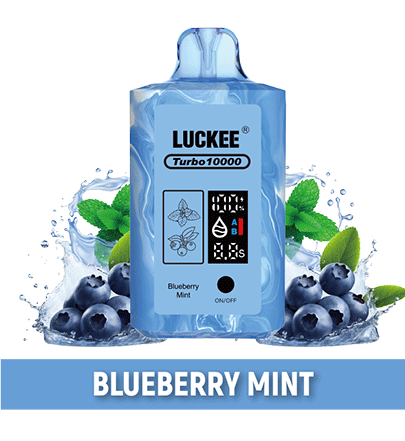 luckee turbo 10000 blueberry mint