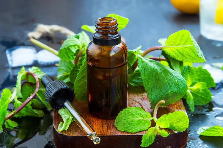 Why Mint Vape Dominates the UAE Market in 2026